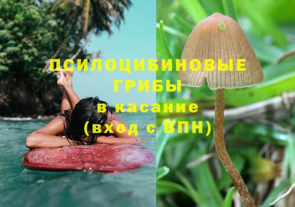 а пвп мука Абаза