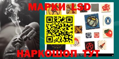 ECSTASY Новозыбков