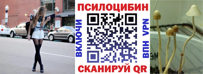 Галлюциногенные грибы GOLDEN TEACHER мега ТОР Хасавюрт