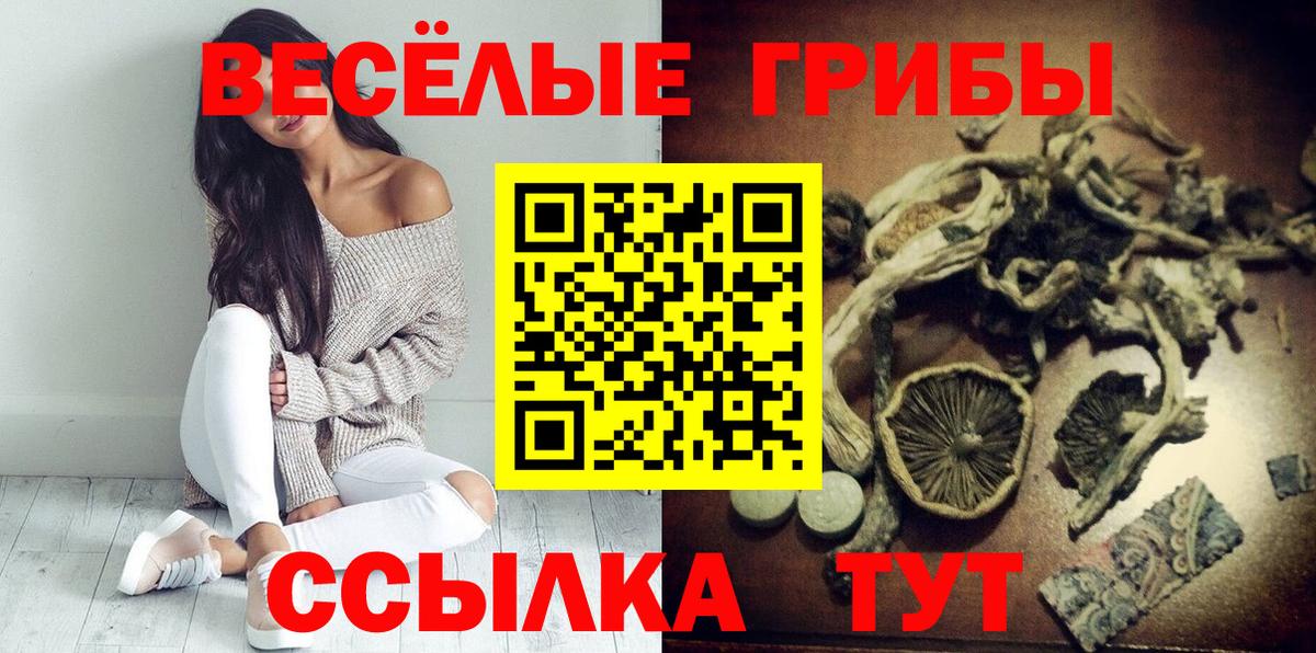 Галлюциногенные грибы ЛСД Хасавюрт